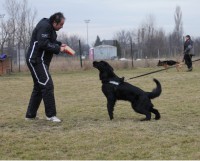 /album/fotogaleria-bria-asiguarda/unnamed6-jpg/