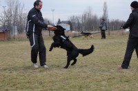 /album/fotogaleria-bria-asiguarda/unnamed8-jpg/