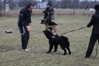 /album/fotogaleria-bria-asiguarda/unnamed9-jpg/