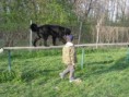 /album/vycvik/img-0984-jpg/